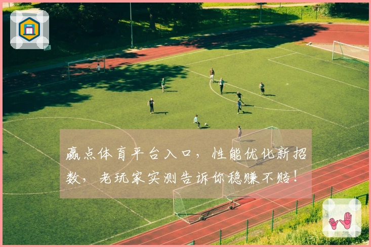 赢点体育平台入口，性能优化新招数，老玩家实测告诉你稳赚不赔！